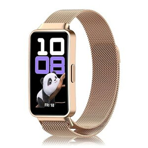 �o���h Huawei Watch Fit 4/4 Pro/Fit 3 �Ή� �����x���g �X�e�����X�| ���C�t�� �X�|�[�c�o���h �j��
