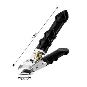 Ҍ̃AbvO[hꂽvtFbViXeX|ܐ؂AL̊{ApxtwbhAʃu[h