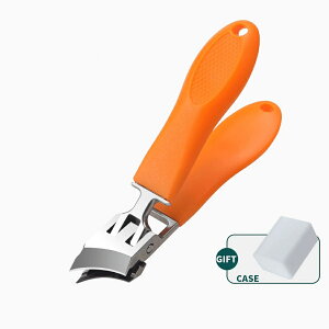 ĩXeX|̒ܐ؂ - ȘpȂʂ̐nŁA܂̑傫ȊJɓKĂ܂B