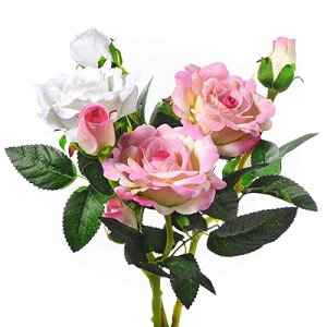  o ~j[Yu[Pi3{Zbgj KN ԑ CeA A[gt[ 