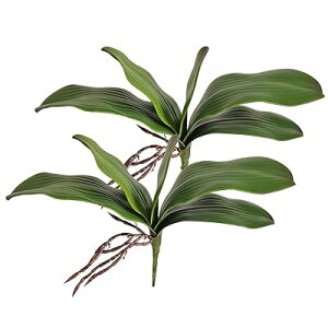 lH΂̌Ӓ̃I[Lbh͉Ԃ̃K[f̖~͂̑̂߂̃ebNX̃Aȃ^