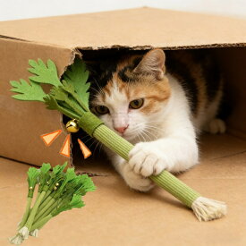 猫のおもちゃ 猫用おもちゃ 猫の歯磨きおもちゃ 猫用インタラクティブおもちゃ 猫用セルフ