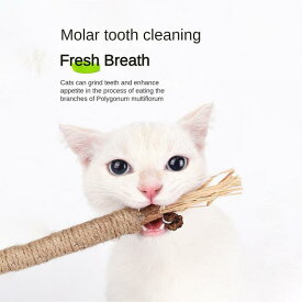 マタタビ-猫用の木の歯が生えるスティック,噛むおもちゃ,歯の掃除,大臼歯,キャットニップ,