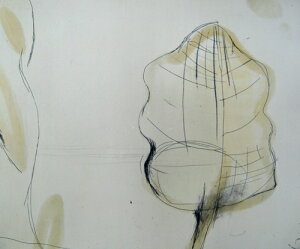 ŉ/Gb`OEANA`g zq t-2 A[g  