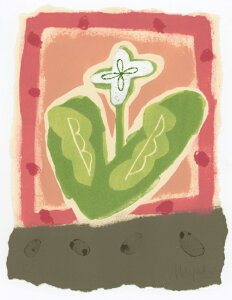 ŉ/gOt ЎR݂  A[g  