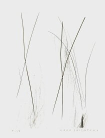 版画/銅版画 芝高康造 First Voice 4 現代アート 抽象 送料無料