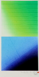 ŉ/ŉ+ʐF Ƃ View'05-P10S A[g  