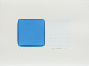 ŉ/VNXN[ ؓcF penetration-118 A[g  