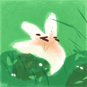 ŉ/VNXN[ {gG A Field Lily A[g  
