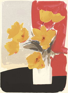 ŉ/VNXN[ {gG Cheerful smile A[g  