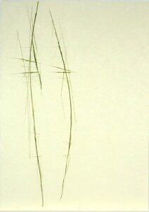 ŉ/ŉ ōN Γy 11 A[g  