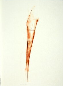 ŉ/ŉ ōN sanguine 31 A[g  