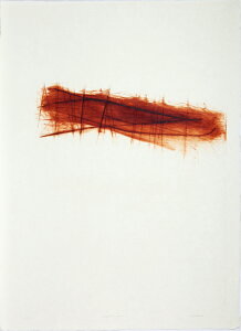 ŉ/ŉ ōN sanguine 45 A[g  