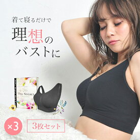 《限定クーポン★配布中》ティアナイツ【3枚セット】 ナイトブラ 瞬間 谷間 メイク 美胸 寄せ上げ 着るだけ バストケア ノンワイヤー ふっくら 着心地 産後 トレーニング バストライン 瞬間バストメイク