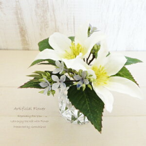 ڂȂH}WJEH[^[ilHj N}`X AWg