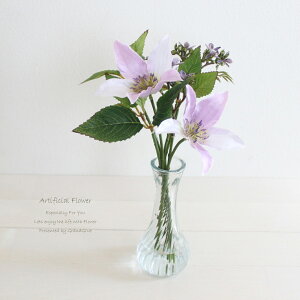 ڂȂH}WJEH[^[ilHj N}`X AWg