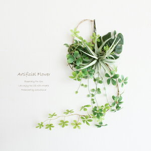 Xe GA[vc VK[oC ϗtA [X XbO A[eBtBVt[ ֏  Ǌ| 