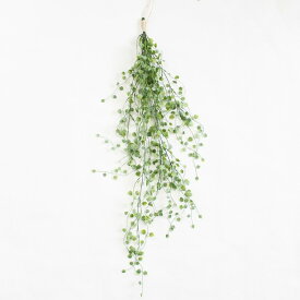 観葉植物の壁掛けリース（ハートカズラ）（造花）