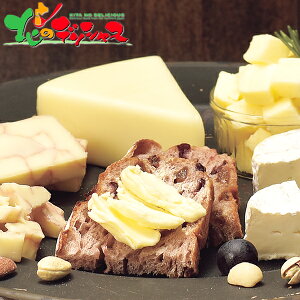 ӂ̔_Y ӂ̃`[YH[ Zbg2025 Ε N Nz  NNn Mtg 蕨 j  Ԃ j j oYj  Cj v[g i `[