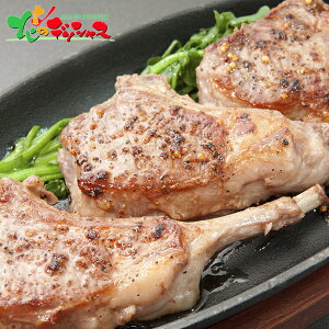 ̎R{ t`bN 5{ Xe[L\[Xt2025 Ε N Nz  NNn Mtg 蕨 j  Ԃ j j oYj  v[g y 