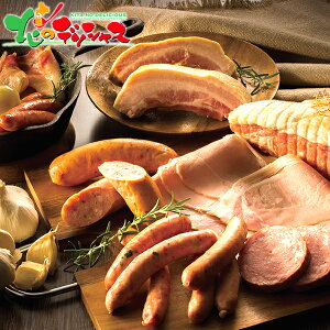 ̎R{ O kC nMtg MN-E2025 Ε N Nz  NNn Mtg 蕨 j  Ԃ j j oYj Cj v[g y n n