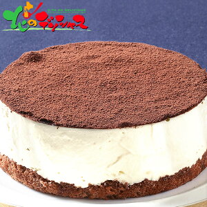 ܓ xM[`R[g eB~X2025 Ε N Nz  NNn Mtg 蕨 j  Ԃ j j oYj v[g mَq eB~X `R[