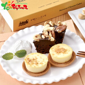 \geb|H[ kCt}[WƃxCNhVRZbgR2025 Ε N Nz  NNn Mtg 蕨 j  Ԃ j j oYj Cj v[