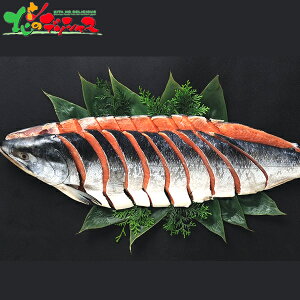 GXPCt[Y _̋ n V pؐg 2025 Ε N Nz  NNn Mtg 蕨 j  Ԃ j j oYj  Cj v[g  V 