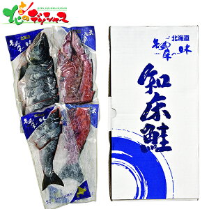 KX mY V pؐg(É) 2.5kg 2025 Ε N Nz  NNn Mtg 蕨 j  Ԃ j j oYj  Cj v[g  V