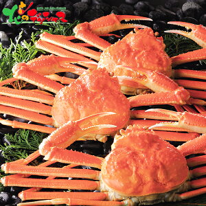 킢  3 2025 Ε N Nz  NNn Mtg 蕨 j  Ԃ j j oYj  Cj v[g Y CN Jj I YCKj Zb