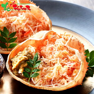 Dyoiot[Y kCY IIYC I b 2025 Ε N Nz  NNn Mtg 蕨 j  Ԃ j j oYj  Cj v[g