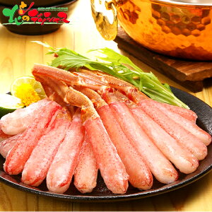 kCY  IIYCKj ԂԁEhgp (500g/TCYs) 2025 Ε N Nz  NNn Mtg 蕨 j  Ԃ j v[g Zbg lߍ킹 