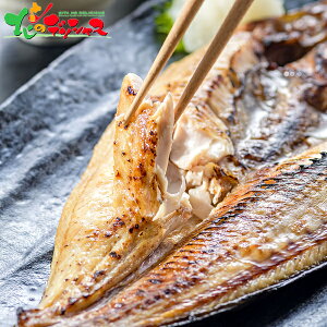 ӂƉ s`s` 5_ Zbg 2025 Ε N Nz  NNn Mtg 蕨 j  Ԃ j j oYj  Cj v[g Zbg lߍ킹 