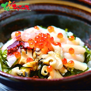 ܂ k̊CN (6HZbg) 2025 Ε N Nz  NNn Mtg 蕨 j  Ԃ j j oYj  Cj v[g Zbg lߍ킹 