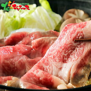 mxYHi \n[u [X Ăp 400g 2025 Ε N Nz  NNn Mtg 蕨 j  Ԃ j j oYj  Cj v[g Z