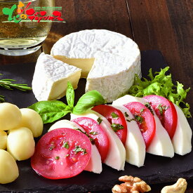 夢民舎 はやきた チーズ 5種セット 2025 お歳暮 お年賀 年越し お正月 年末年始 ギフト 贈り物 お祝い お礼 お返し 内祝 結婚祝い 出産祝い お見舞い 快気祝い プレゼント チーズ カマンベール モッツァレラ セット 詰め合わせ 北海道 グルメ 送料無料 お取り寄せ