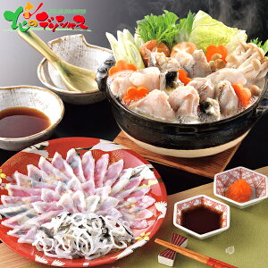 ւƂ{X Ƃӂ Zbg FR-100F13Z 2025 Mtg 蕨  j  Ԃ j v[g  Ε Y CN ӂ tO ͓    Hו Zbg lߍ킹 