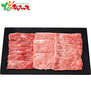 gV ㋍ E(r)E[X Ăp (v700g) 2025 ~Mtg Ε Ε N N Mtg 蕨  j  Ԃ j v[g ƒp   a  