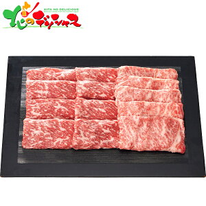 gV јa E[X Ăp (v550g) 2025 ~Mtg Ε Ε N N Mtg 蕨  j  Ԃ j v[g ƒp   a  