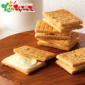 VK[o^[Th̖؁R[q[Zbg SBC-30S 2025 ~Mtg Ε Ε N N Mtg 蕨  j  Ԃ j v[g mَq ĉَq o^[Th Zbg 