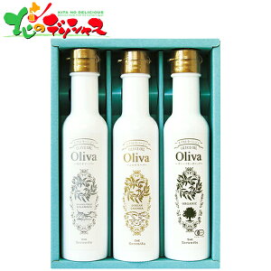 MVY GNXgo[WI[uICMtg A-567 2025 Mtg 蕨  j  Ԃ j v[g  Ε  Hp I[uIC N Hi Ki Z