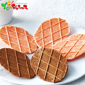 JtF Kg[ A\[g CGA-30 2025 ~Mtg Ε Ε N N Mtg 蕨  j  Ԃ j v[g mَq ĉَq bt NbL[ R[q[ hbvR[