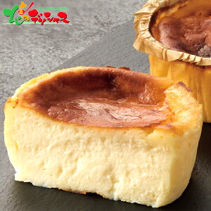 ݂ꂢ oXN`[YP[LZbg 2025 ~Mtg Ε Ε N N Mtg 蕨  j  Ԃ j v[g ƒp mَq P[L `[YP[L XC[c Z