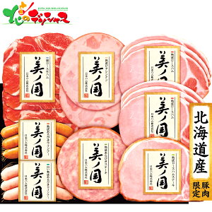 {n kC v~A m UKH-48 2025 ~Mtg Ε Ε N N Mtg 蕨  j  Ԃ j v[g ƒp  Hi n \[Z[W EBi