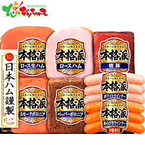 {n {ihMtg NH-51 2025 ~Mtg Ε Ε N N Mtg 蕨  j  Ԃ j v[g ƒp  Hi n \[Z[W EBi[ Zbg 