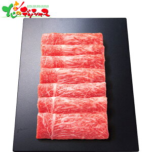 gV ㋍  Ăp (330g) 2025 ~Mtg Ε Ε N N Mtg 蕨  j  Ԃ j v[g ƒp   a  Ă XL Zb