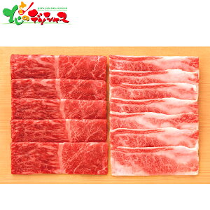 _ˋ Eo Ăp (v400g) 2025 ~Mtg Ε Ε N N Mtg 蕨  j  Ԃ j v[g ƒp   a  Ă XL Zb