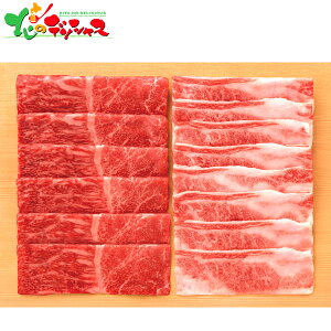 _ˋ Eo Ăp (v500g) 2025 ~Mtg Ε Ε N N Mtg 蕨  j  Ԃ j v[g ƒp   a ē Ă Zbg l