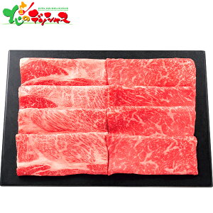 䋍 [XE ĂZbg (v500g) 2025 ~Mtg Ε Ε N N Mtg 蕨  j  Ԃ j v[g ƒp   a  Ă XL