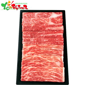 Oca O Ԑ (v470g) 2025 ~Mtg Ε Ε N N Mtg 蕨  j  Ԃ j v[g ƒp    a  Ă 